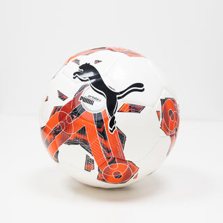 PUMA BALL 24/25