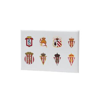 RECTANGULAR SHIELD MAGNET