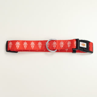 Collar de mascota